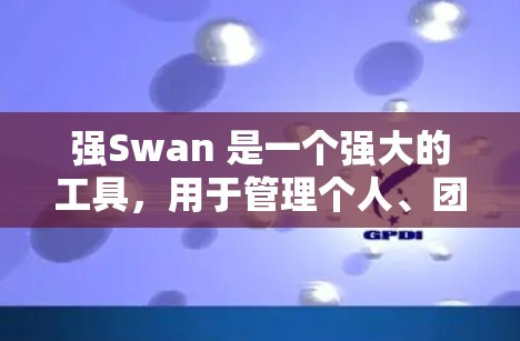 强Swan 是一个强大的工具,用于管理个人、团队或企业中的资源。以下是对强Swan 使用指南的详细分析 强Swan 是一个强大的工具,用于管理个人、团队或企业中的资源。以下是对强Swan 使用指南的详细分析