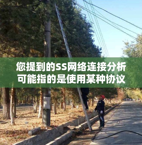 您提到的SS网络连接分析可能指的是使用某种协议进行的网络连接，如SS7、TCP等。以下是一些常见的SS网络连接分析结果和相关分析