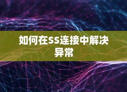 如何在SS连接中解决异常