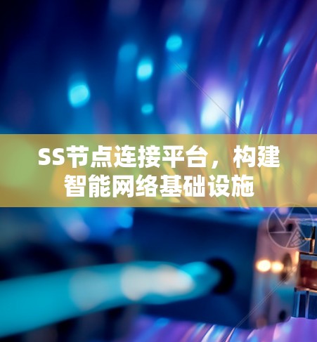 SS节点连接平台，构建智能网络基础设施