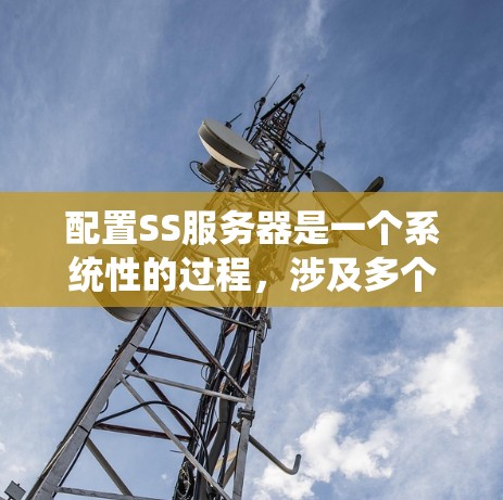 配置SS服务器是一个系统性的过程，涉及多个步骤，每个步骤都需要仔细处理以确保服务器的稳定和高效运行。以下是详细的配置方法