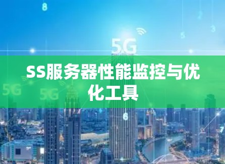 SS服务器性能监控与优化工具 SS服务器性能监控与优化工具