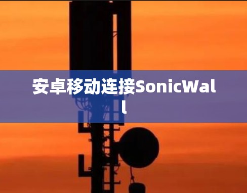 安卓移动连接SonicWall
