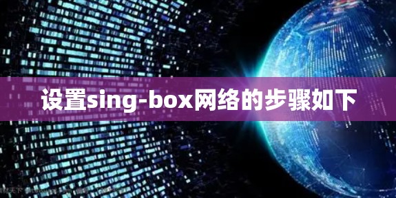 设置sing-box网络的步骤如下