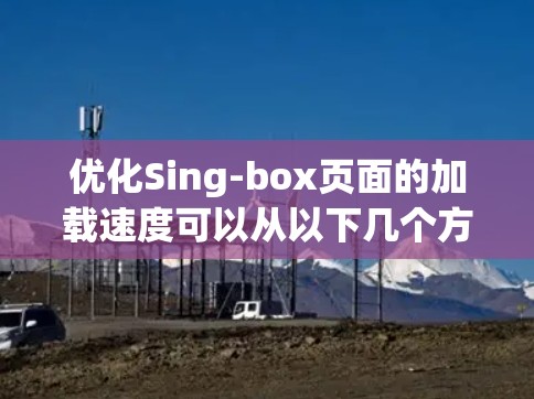 优化Sing-box页面的加载速度可以从以下几个方面入手