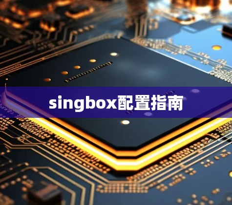 singbox配置指南