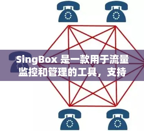 SingBox 是一款用于流量监控和管理的工具，支持通过多种方式配置，包括主界面配置、API调用等。以下是SingBox的配置方法
