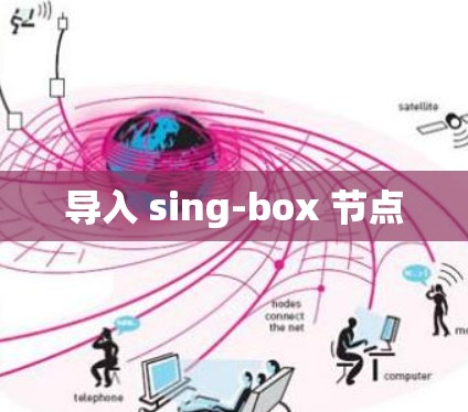 导入 sing-box 节点 导入 sing-box 节点
