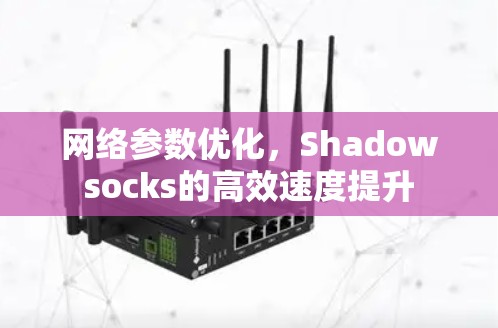 网络参数优化，Shadowsocks的高效速度提升