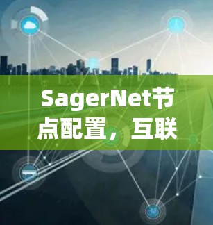 SagerNet节点配置，互联网通信中的关键架构与优化方案