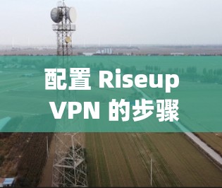 配置 Riseup VPN 的步骤如下