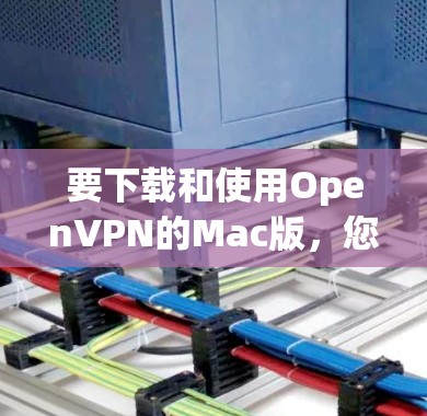 要下载和使用OpenVPN的Mac版，您可以按照以下步骤操作