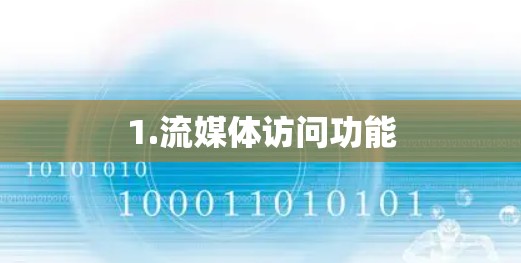 1.流媒体访问功能