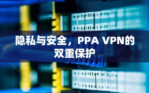 隐私与安全，PPA VPN的双重保护