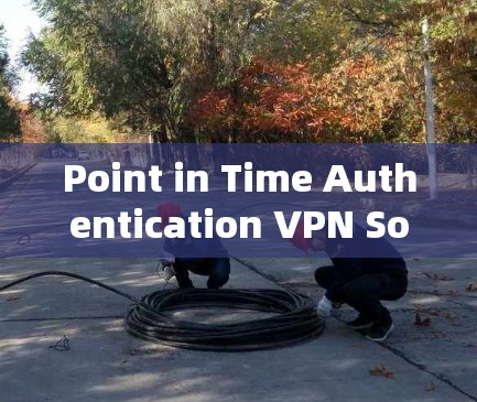 Point in Time Authentication VPN Software，构建更具安全性与灵活性的通信解决方案