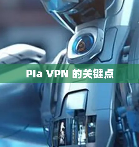 PIa VPN 的关键点