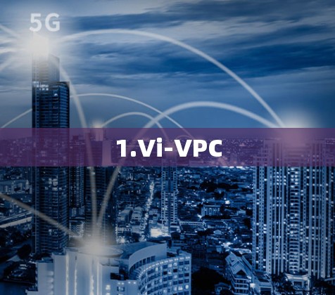 1.Vi-VPC