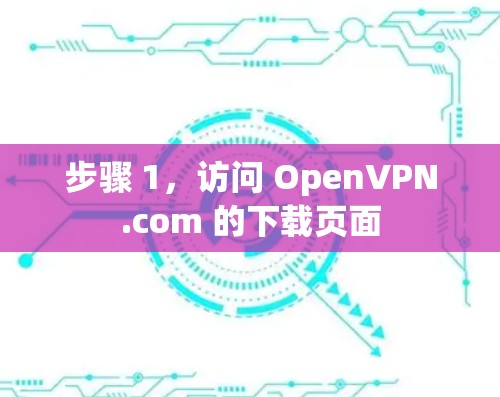 步骤 1,访问 OpenVPN.com 的下载页面 步骤 1,访问 OpenVPN.com 的下载页面