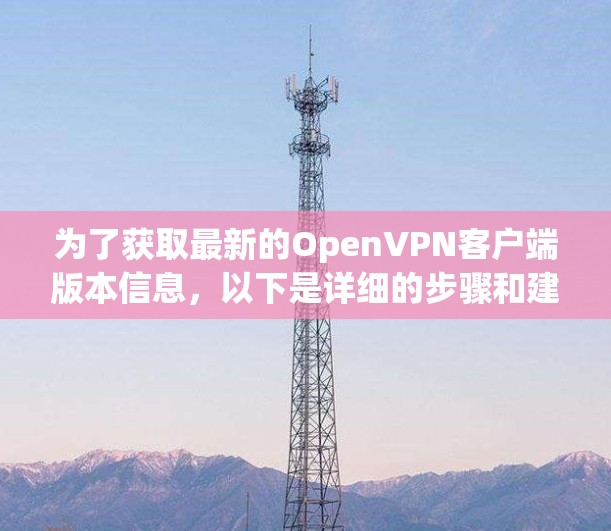 为了获取最新的OpenVPN客户端版本信息，以下是详细的步骤和建议
