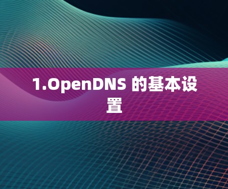 1.OpenDNS 的基本设置