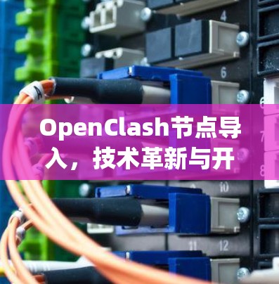 OpenClash节点导入,技术革新与开源生态的碰撞 OpenClash节点导入,技术革新与开源生态的碰撞