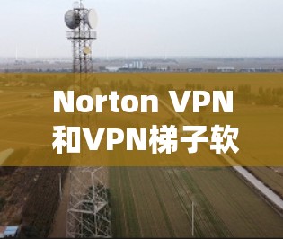Norton VPN 和VPN<strong>梯子</strong>软件都是现代VPN技术的代表，但它们在功能和使用上有所不同。以下是对这两个工具的详细分析