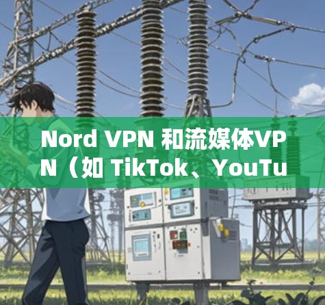 Nord VPN 和流媒体VPN（如 TikTok、YouTube、YouTube Music 等）是两个不同的产品和服务，各有其独特的功能和适用场景。以下是它们的主要区别