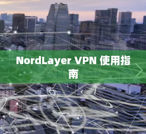 NordLayer VPN 使用指南