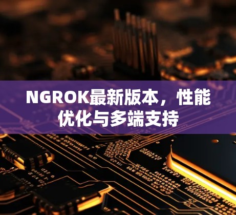 NGROK最新版本，性能优化与多端支持