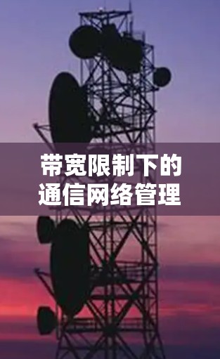 带宽限制下的通信网络管理