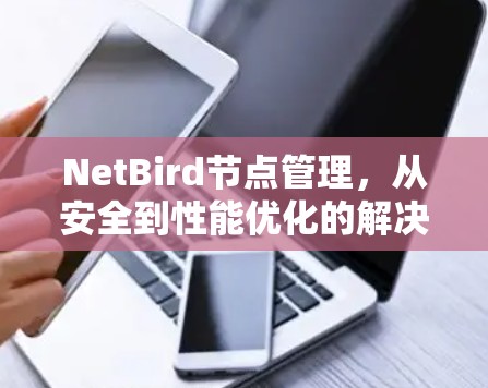 NetBird节点管理，从安全到性能优化的解决方案