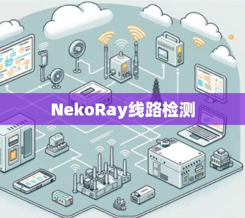 NekoRay线路检测