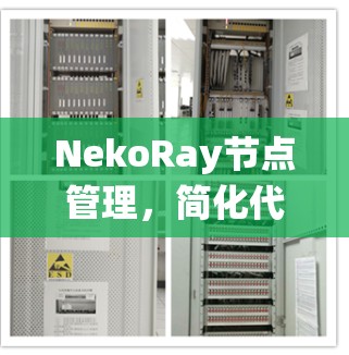 NekoRay节点管理，简化代码管理，提升系统性能