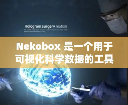 Nekobox 是一个用于可视化科学数据的工具，支持三维数组（Numpy数组）来存储和可视化数据。以下是对 Nekobox 节点配置的详细指南