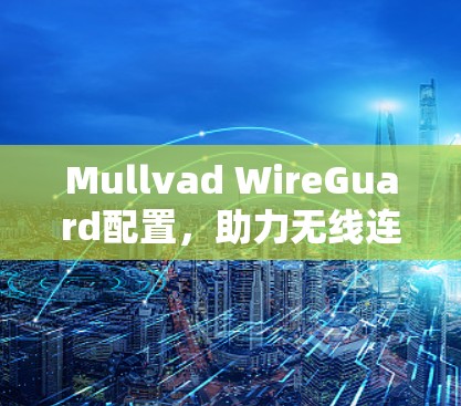 Mullvad WireGuard配置，助力无线连接，高效可靠