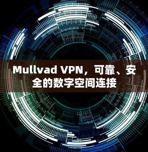 Mullvad VPN，可靠、安全的数字空间连接