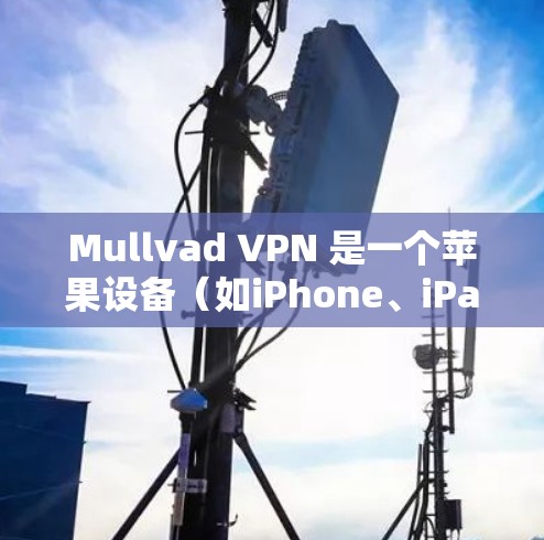 Mullvad VPN 是一个苹果设备（如iPhone、iPad和Mac）上的个人数据保护软件，旨在为用户提供安全的网络访问。以下是使用Mullvad VPN苹果VPN的基本步骤