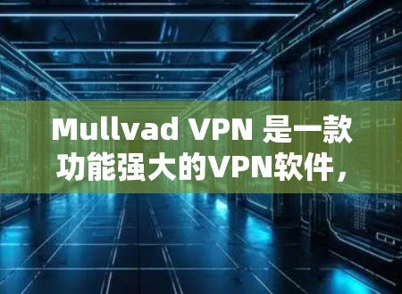 Mullvad VPN 是一款功能强大的VPN软件，适合windows用户的远程办公、视频会议和安全VPN需求。以下是几个推荐的Mullvad VPN电脑客户端