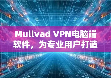 Mullvad VPN电脑端软件，为专业用户打造安全可靠的网络防护解决方案