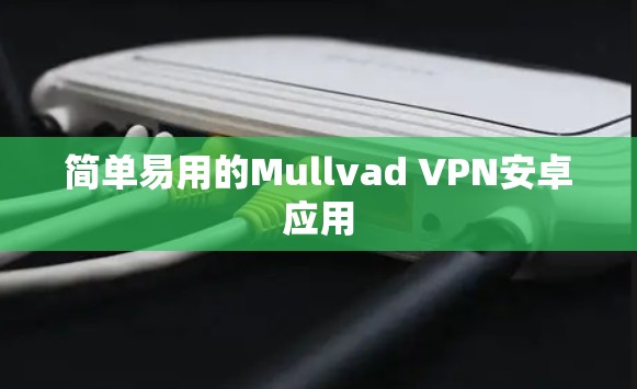 简单易用的Mullvad VPN安卓应用