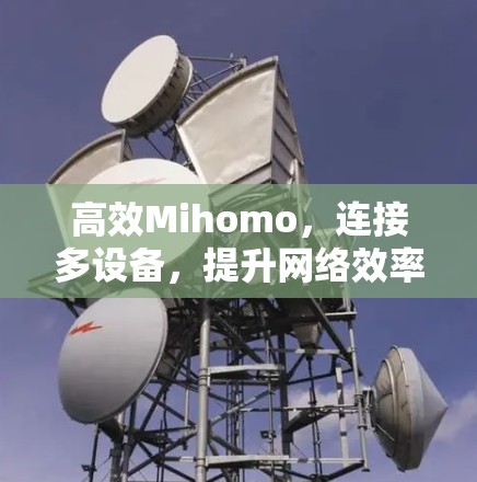 高效Mihomo，连接多设备，提升网络效率
