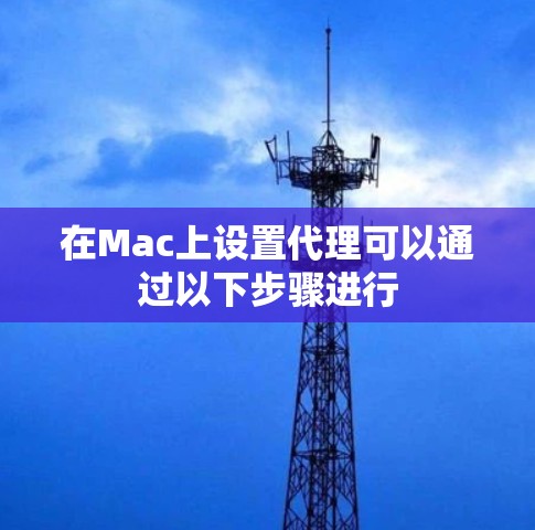 在Mac上设置代理可以通过以下步骤进行