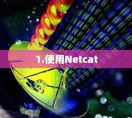 1.使用Netcat