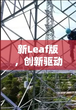 新Leaf版，创新驱动的未来解决方案