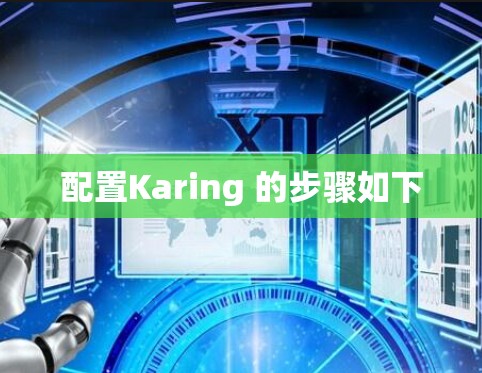 配置Karing 的步骤如下