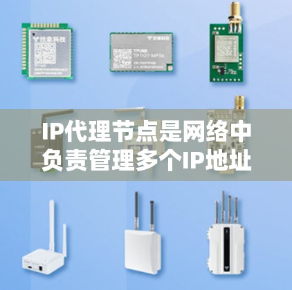 IP代理节点是网络中负责管理多个IP地址代理服务器（如IP代理服务器、代理服务器组、代理服务器链等）的核心服务器。以下是对IP代理节点的详细总结