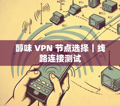醇味 VPN 节点选择|线路连接测试 醇味 VPN 节点选择|线路连接测试