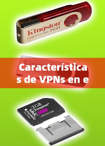 Características de VPNs en el mbito de la scientific上网: