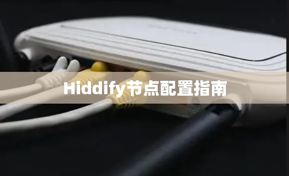Hiddify节点配置指南