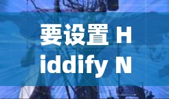 要设置 Hiddify Next 的订阅，您可以按照以下步骤操作